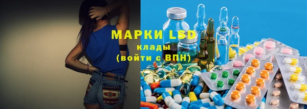 гидра Семилуки