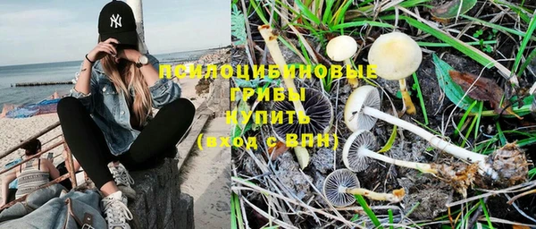 2c-b Бронницы
